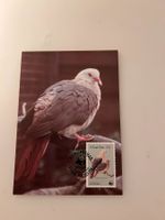 MaximumKarte WWF - Mauritius-Taupe Columba mayeri