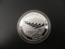 Medaille 50 Jahre Patrouille Suisse 2014 - Hawker Hunter