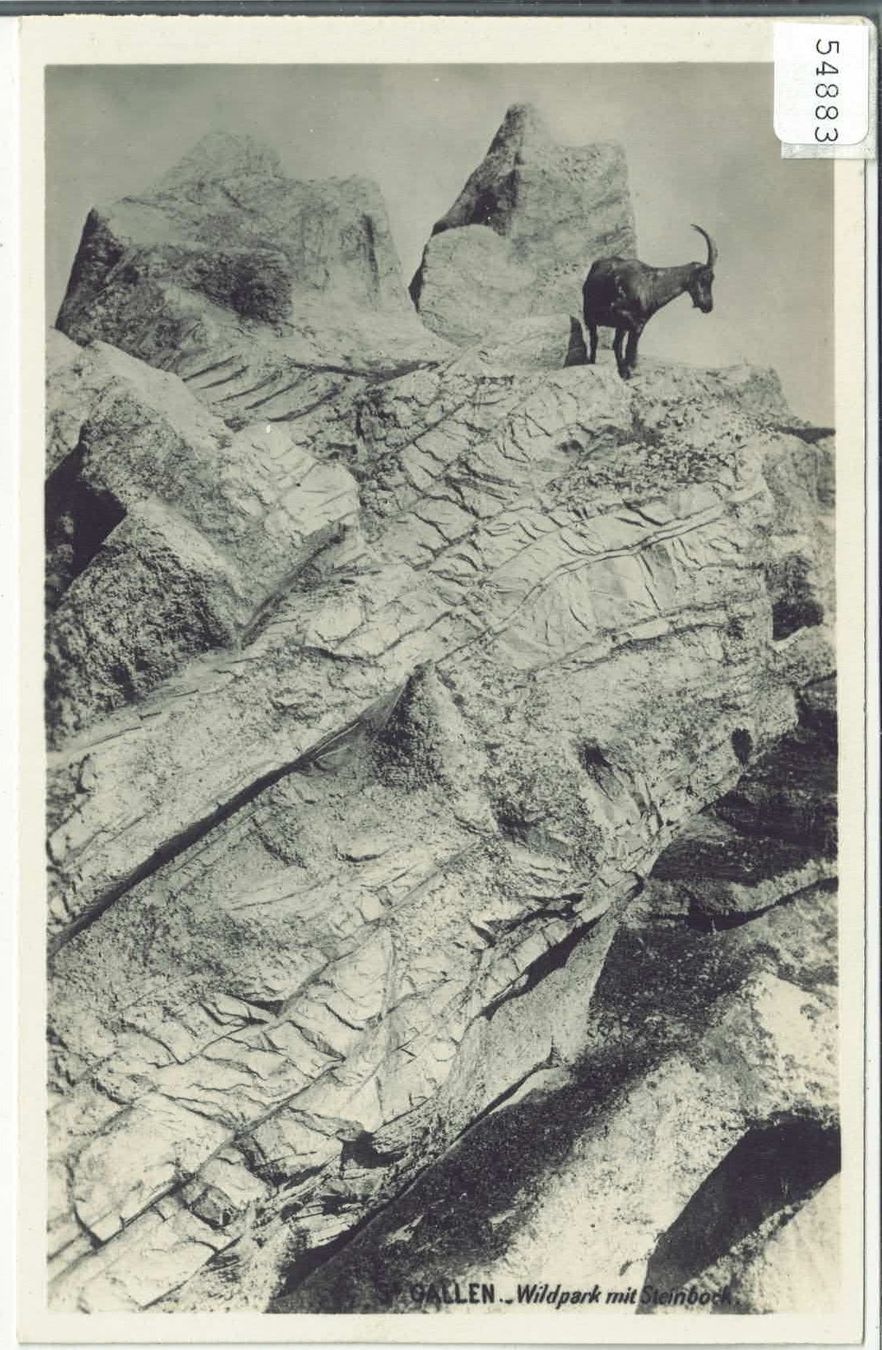 Cartoline postali: St. Gallen - Wildpark mit Steinbock – Usato da Ettingen venduto da Kartenplanet
