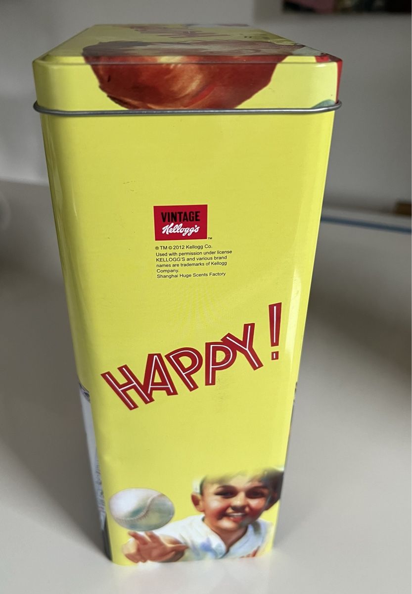 Cibi & Specialità: Kellogg‘s Blechdose – Usato da Thürnen venduto da Lilie37 2