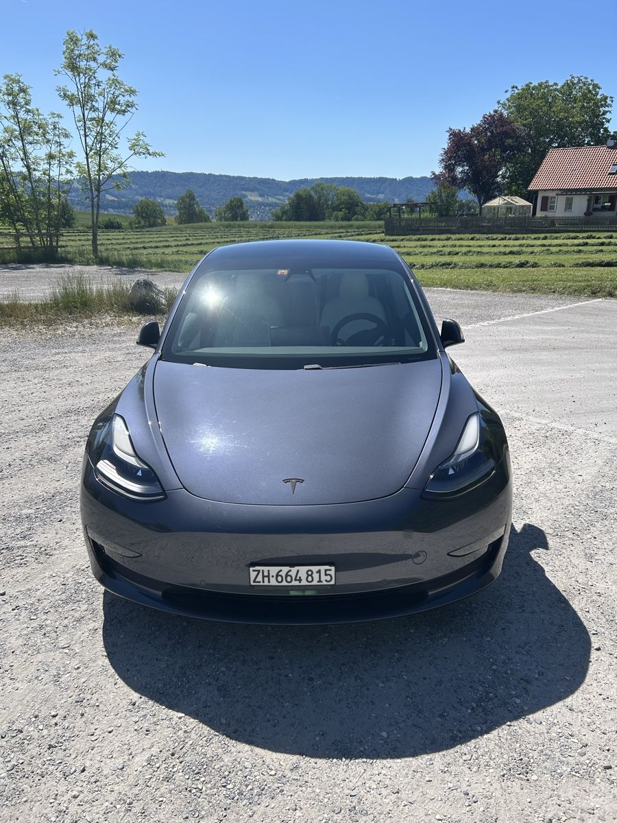 Tesla Automobili: Tesla Model 3 Performance Dual Motor AWD Jg. 2020 Long Range – Usato da Küsnacht ZH venduto da Marcel4917 2