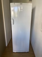 Electrolux-Gefrierschrank in Top Zustand