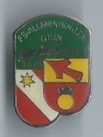 FS-Allmendingen Thun Pin