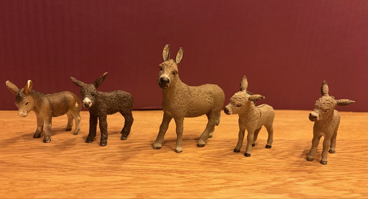Schleich Spielzeuge: 5 Schleich - Esel – Gebraucht aus Blumenstein von rumba9