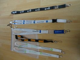 Schlüsselanhänger (Sechserpack)