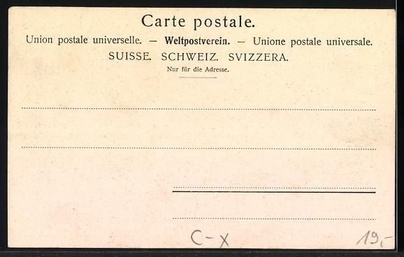 Ansichtskarten: AK Genève, Bd. Plainpalais – Gebraucht aus Berlin von bartko-reher 1