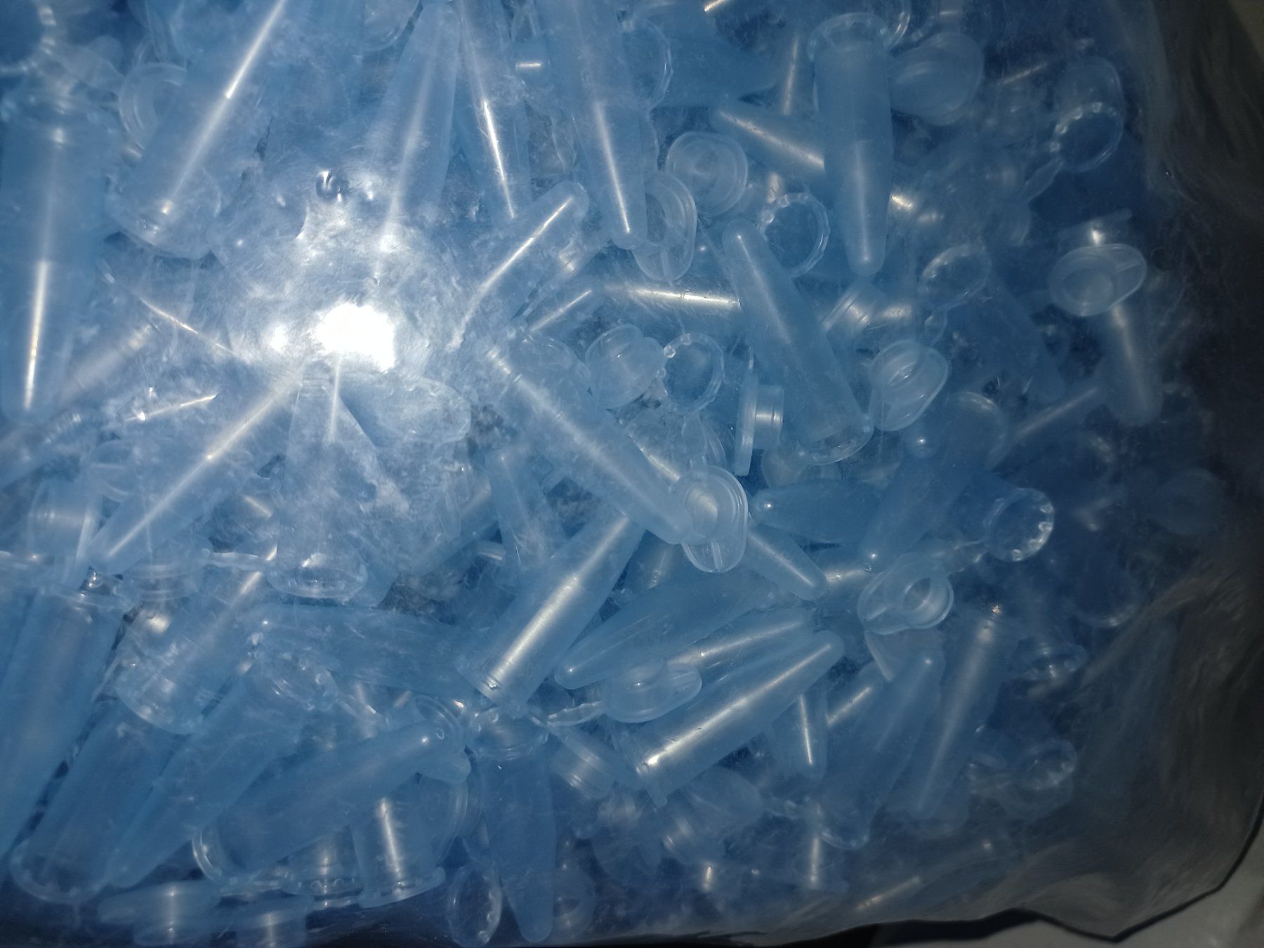 Altro in Stoviglie & Bicchieri: Mikroproberöhrchen PP 1,5 ml, Typ Eppendorf, Verschluss PP – Usato da Schupfart venduto da philippb06 4