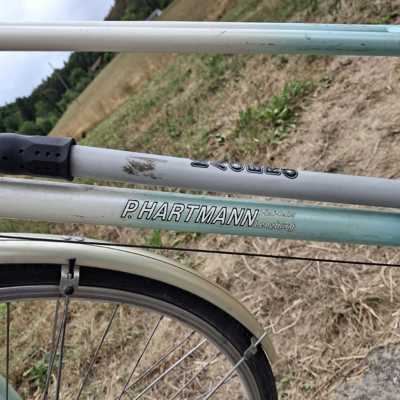 Biciclette: Kristall Damenvelo – Usato da Oftringen venduto da Reggio 2