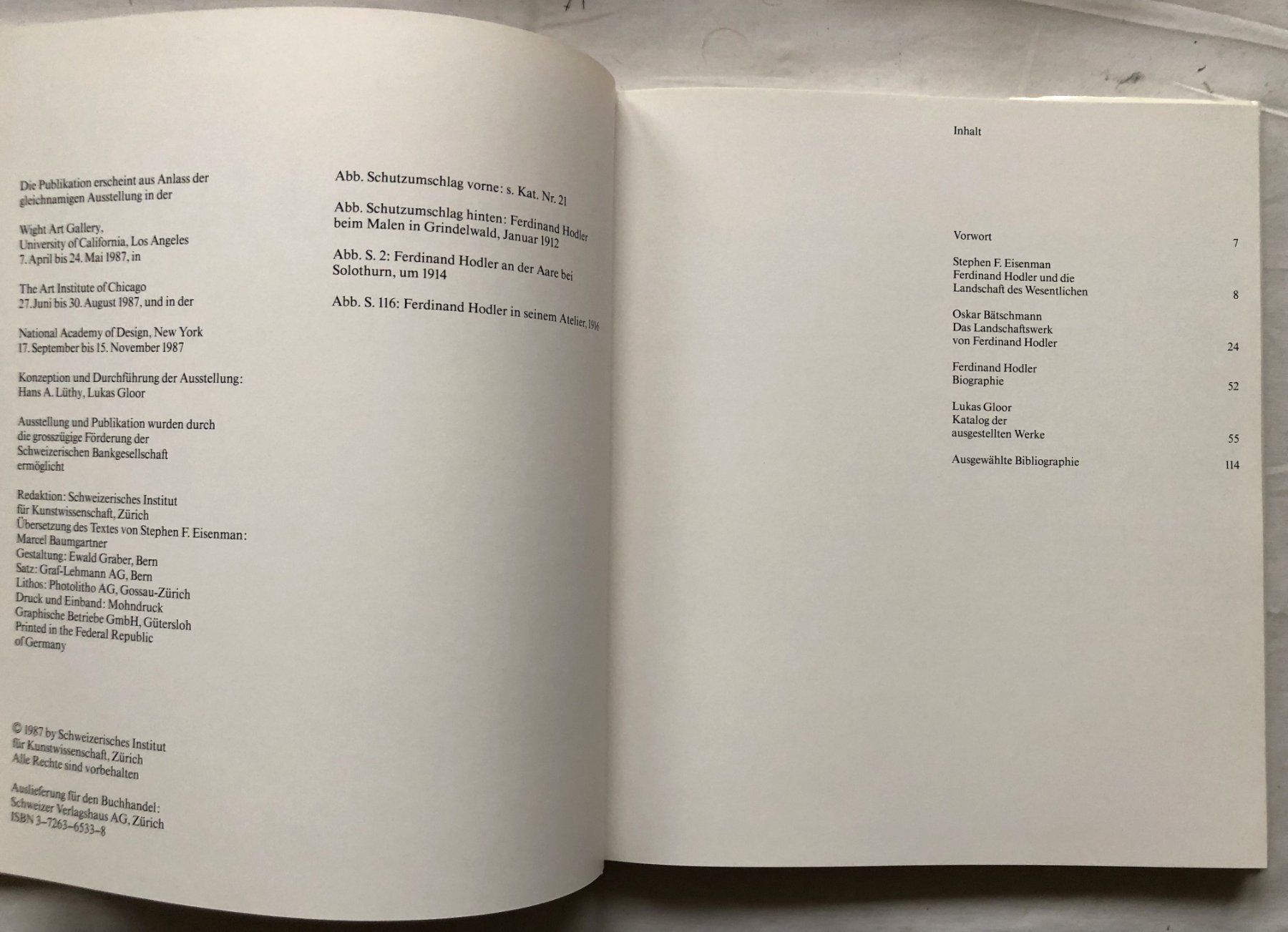 Libri: Ferdinand Hodler - Landschaften - Kunstband – Usato da Schaffhausen venduto da durruti 2