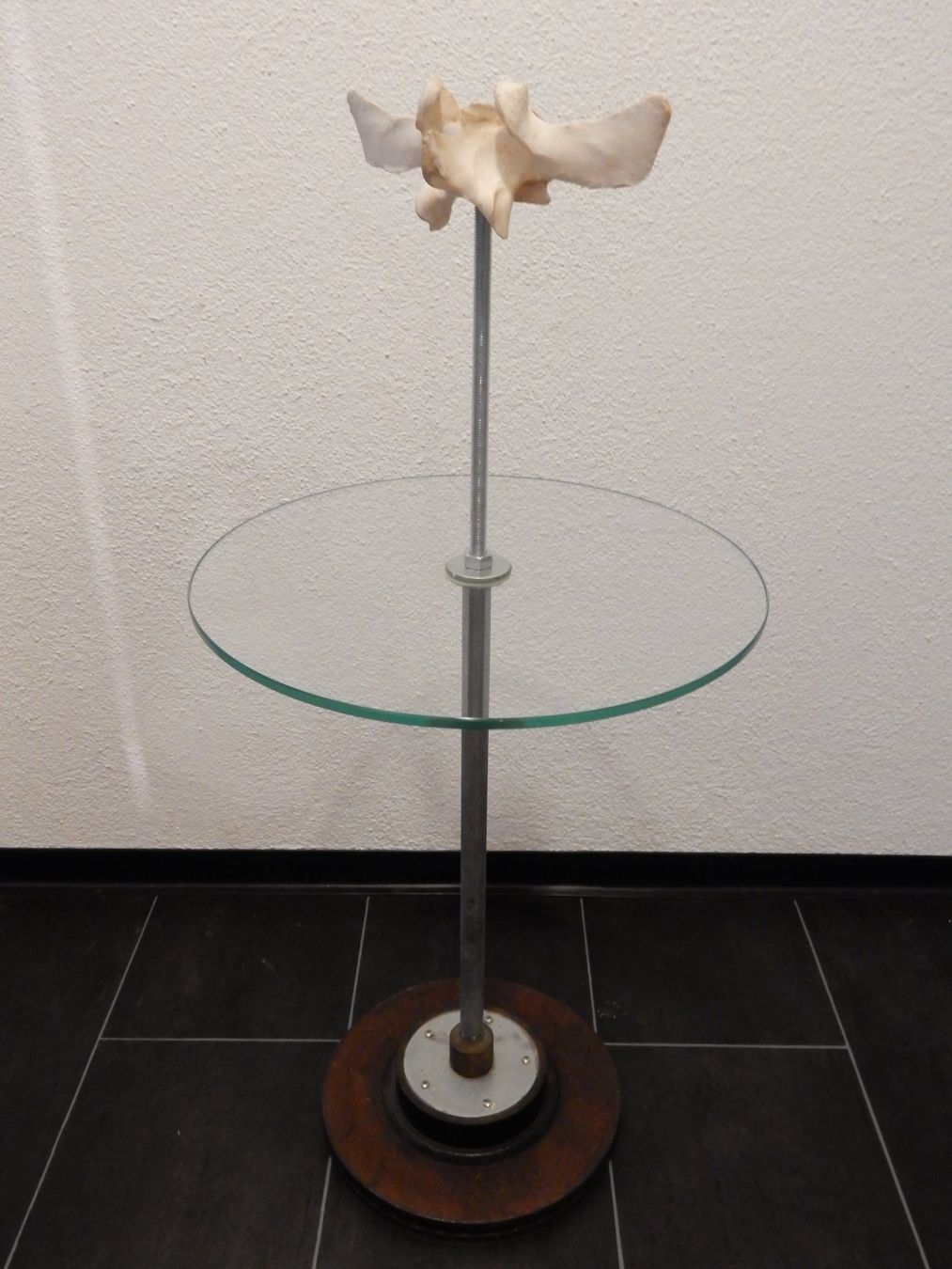 Tavoli: Couchtisch aus Glas, Metall und Knochen – Usato da Glarus venduto da Andynova