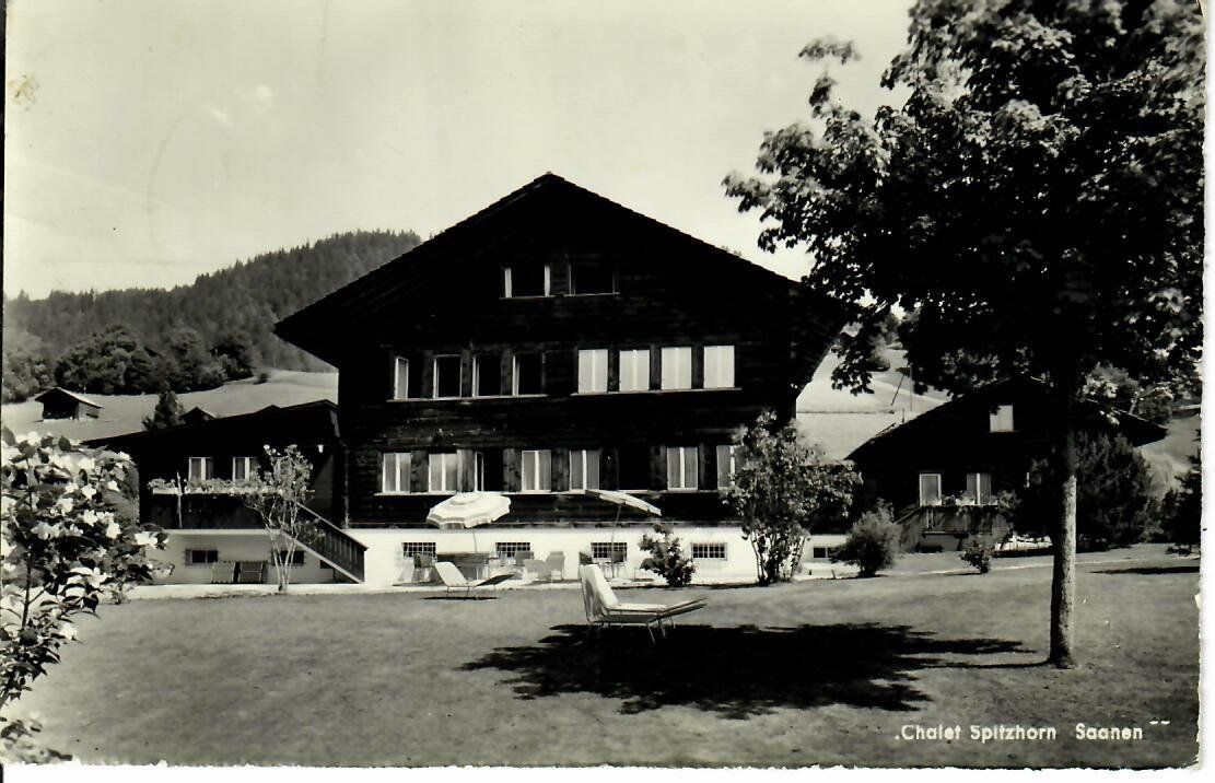 Cartes postales: Chalet Spitzhorn Saanen – D'occasion à Hochdorf par Ziegel-16