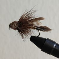 Goddard Caddis Fliege Hakengrösse 2-4