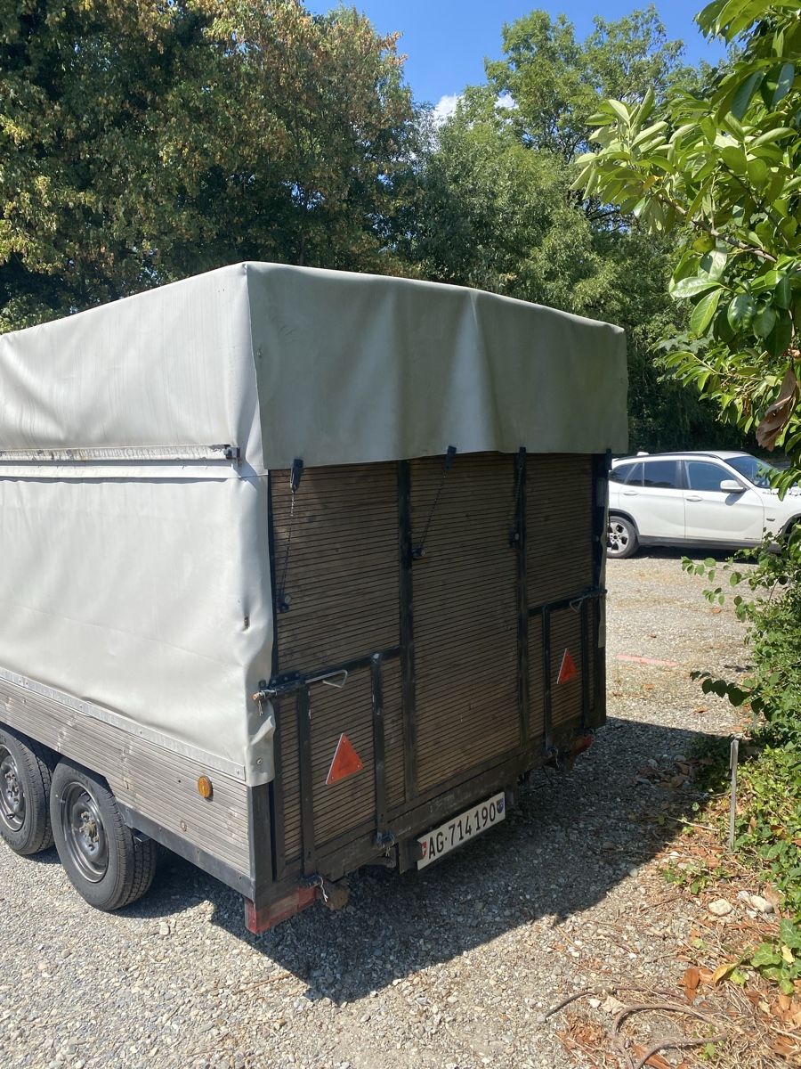 Rimorchi: Anhänger mfk – Usato da Würenlingen venduto da Rico6941 3