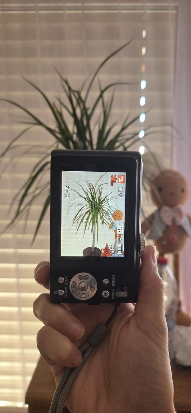 Panasonic Fotocamera: Panasonic Lumix DMC-TZ8 Digitalkamera  – Usato da Huttwil venduto da ser_gn9l 6