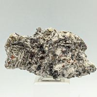 Fantastische IRIDESCENTE CALCOPIRIT auf WEISS, USA