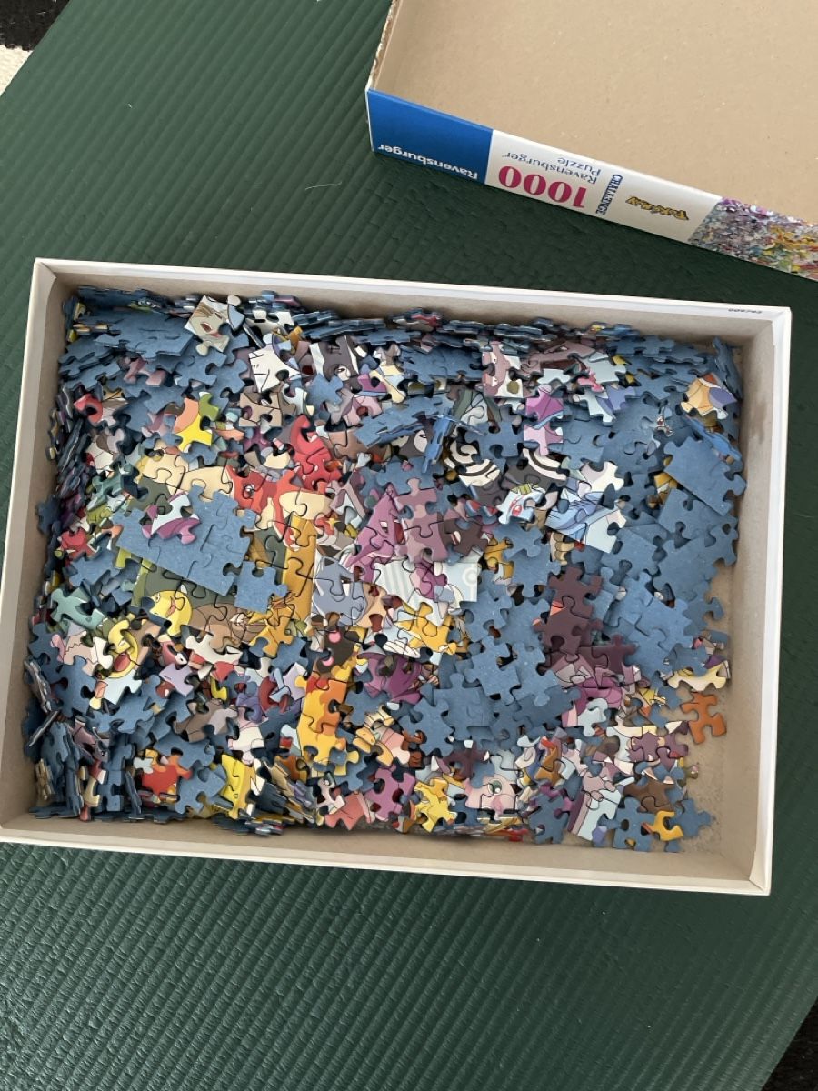 Ravensburger Puzzle: Pokemon Puzzle 1000 Teile – Usato da Bülach venduto da nik_bf5v 1