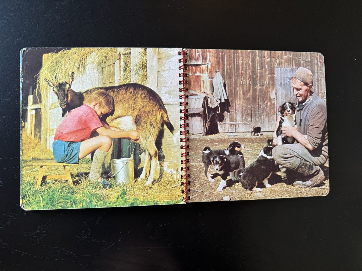 Bücher: "Unsere Haustiere" - Nostalgisches Kinderbuch – Gebraucht aus Erstfeld von Mario_boe0 5