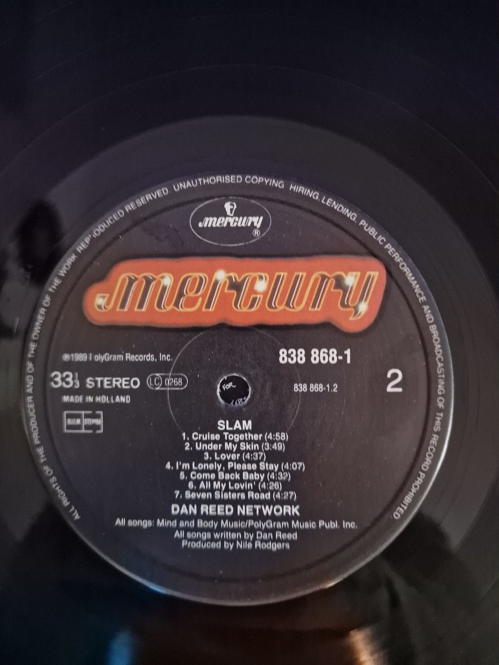 Dischi in vinile: Dan Reed Network - Slam – Usato da Pfaffnau venduto da gunport 1