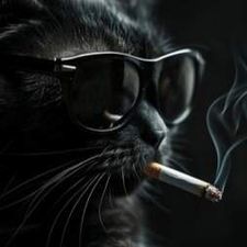 Profile image of tal_jhb9