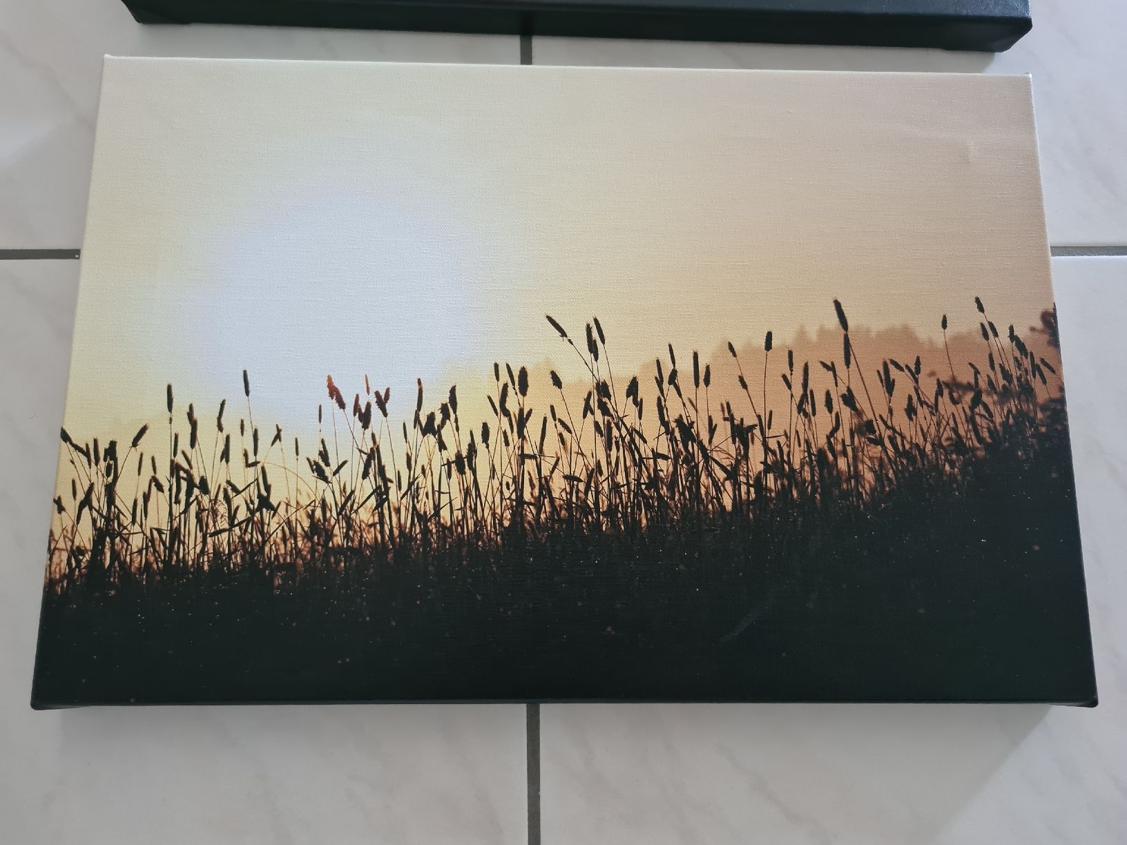 Foto & Immagini: 3er Set Wandbilder Leinwandbilder – Usato da Ebikon venduto da Songbird85 1