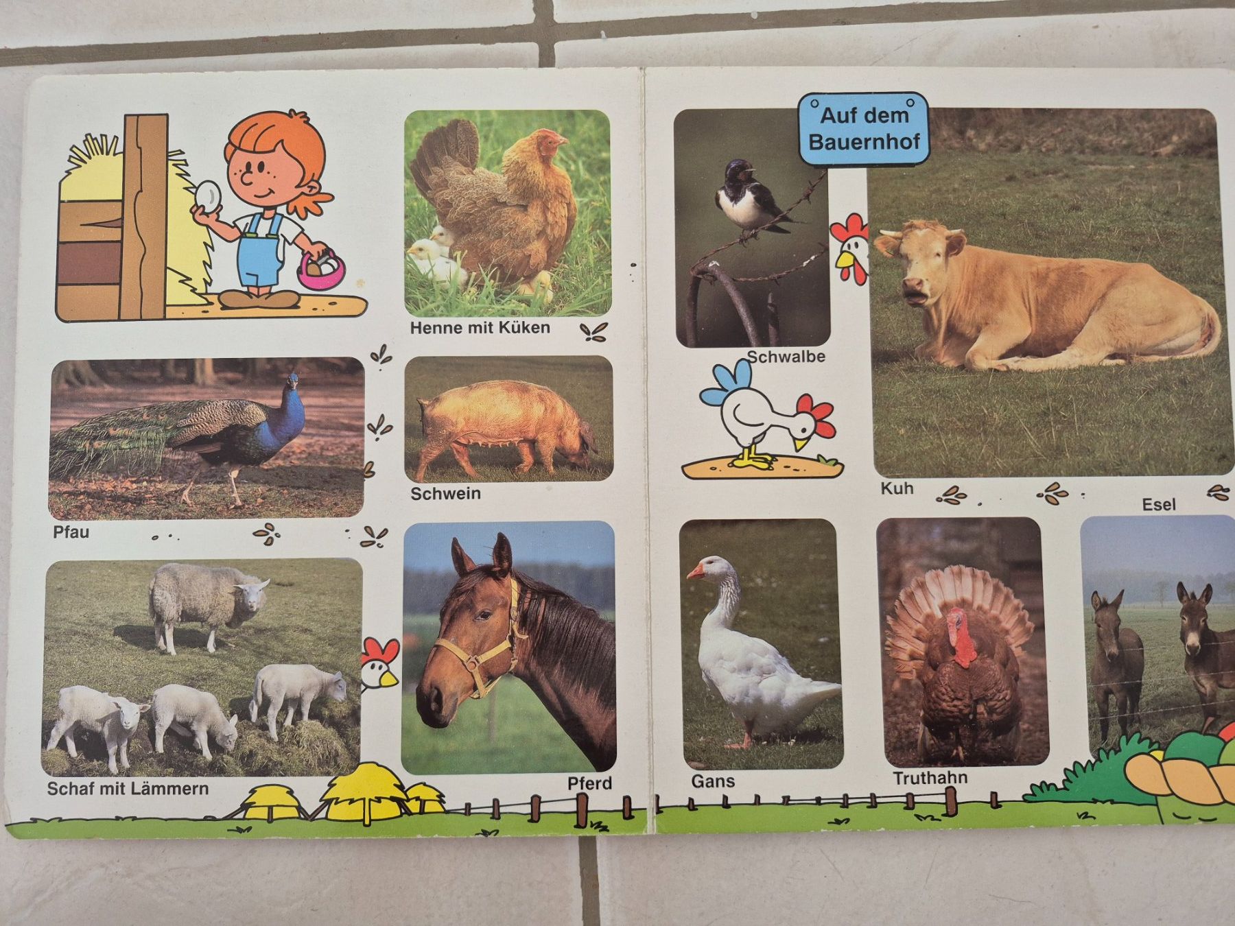 Bücher: 8 Kinderbücher – Gebraucht aus Gränichen von Mamaboy 8