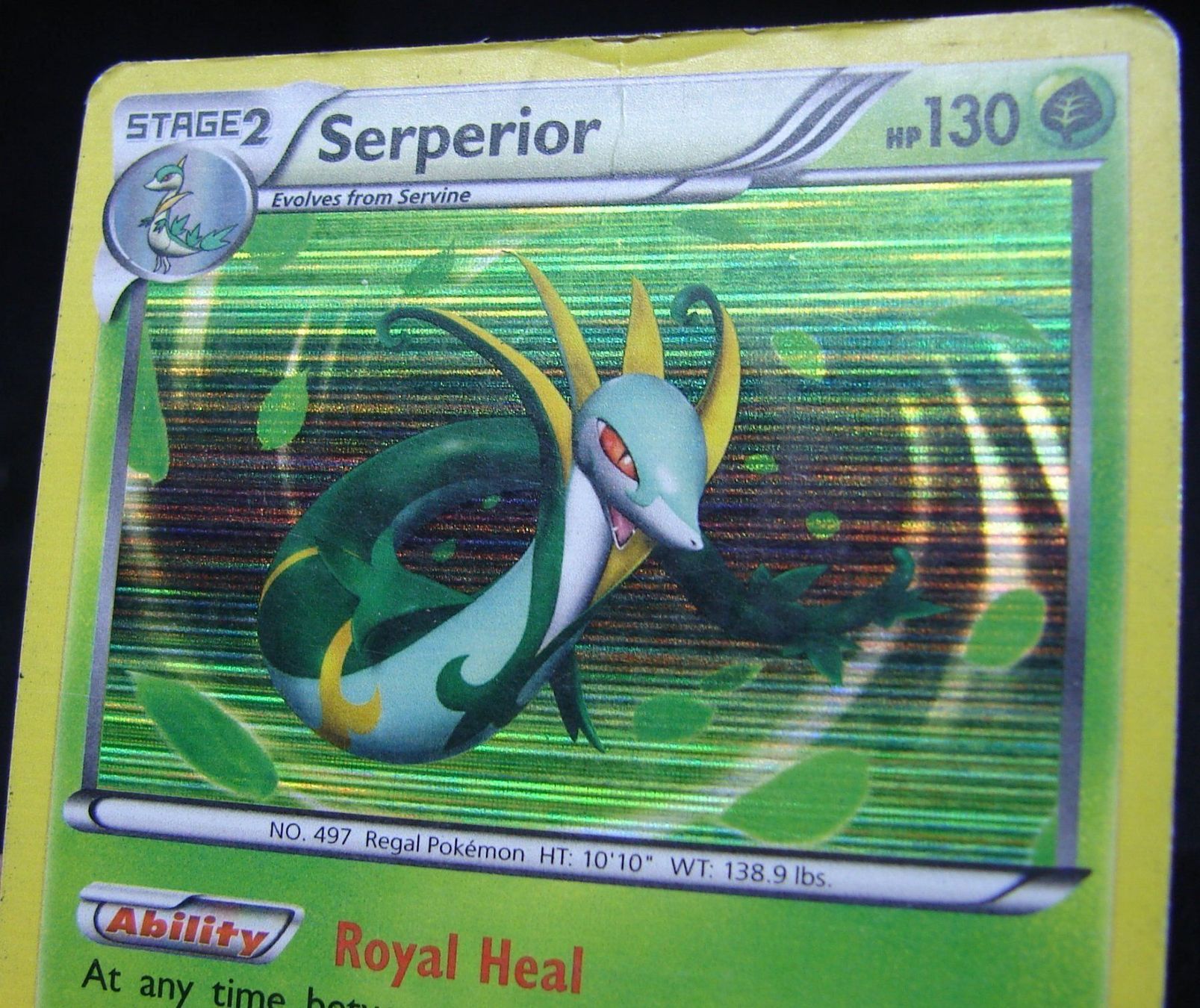 Pokémon Carte collezionabili: Serperior Promo Holo                /163 – Usato da Rümlang venduto da coh_87ww 4