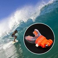 Go Pro Mundhalterung