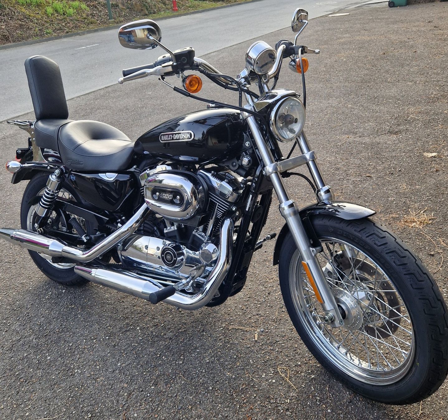 Harley-Davidson Chopper: Harley-Davidson XL 1200L – Usato da Rothenburg venduto da Robinello
