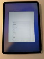 Ipad pro 11 Zoll 2. Generation 128 GB silber