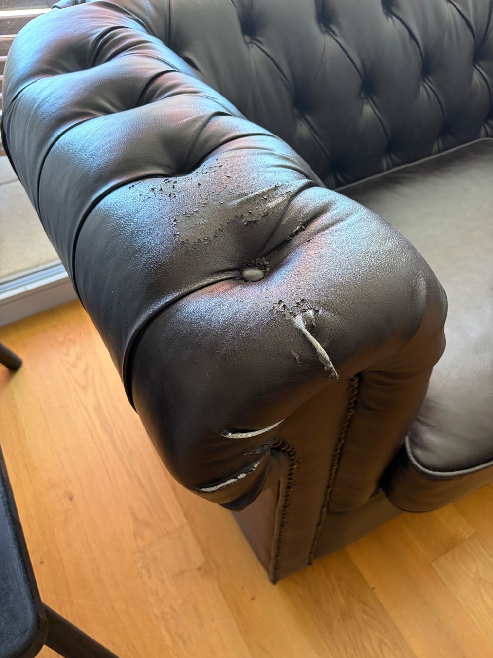 Divani: Chesterfield-Imitat aus Kunstleder – Usato da Zürich venduto da nikitin 3