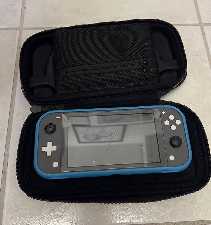 Console: Nintendo Switch Lite – Usato da Männedorf venduto da S.Onat