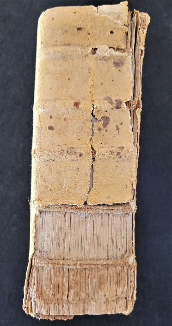 Bücher: Opus lilium medicinae, Lyon 1550 – Gebraucht aus Bourguillon von Lucas111 5