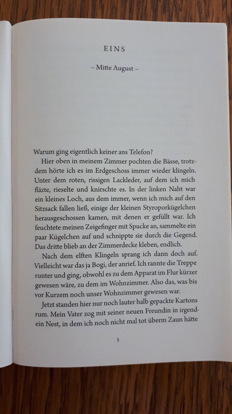 Libri: Matthias Brandt "Blackbird", Roman – Usato da Zürich venduto da Romi169 3