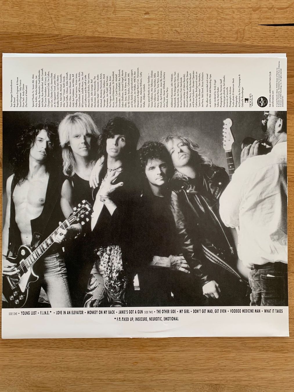 Dischi in vinile: Aerosmith - Pump – Usato da Balzers venduto da Amontelm 2