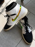 Jordan 1 - Dunk From Above