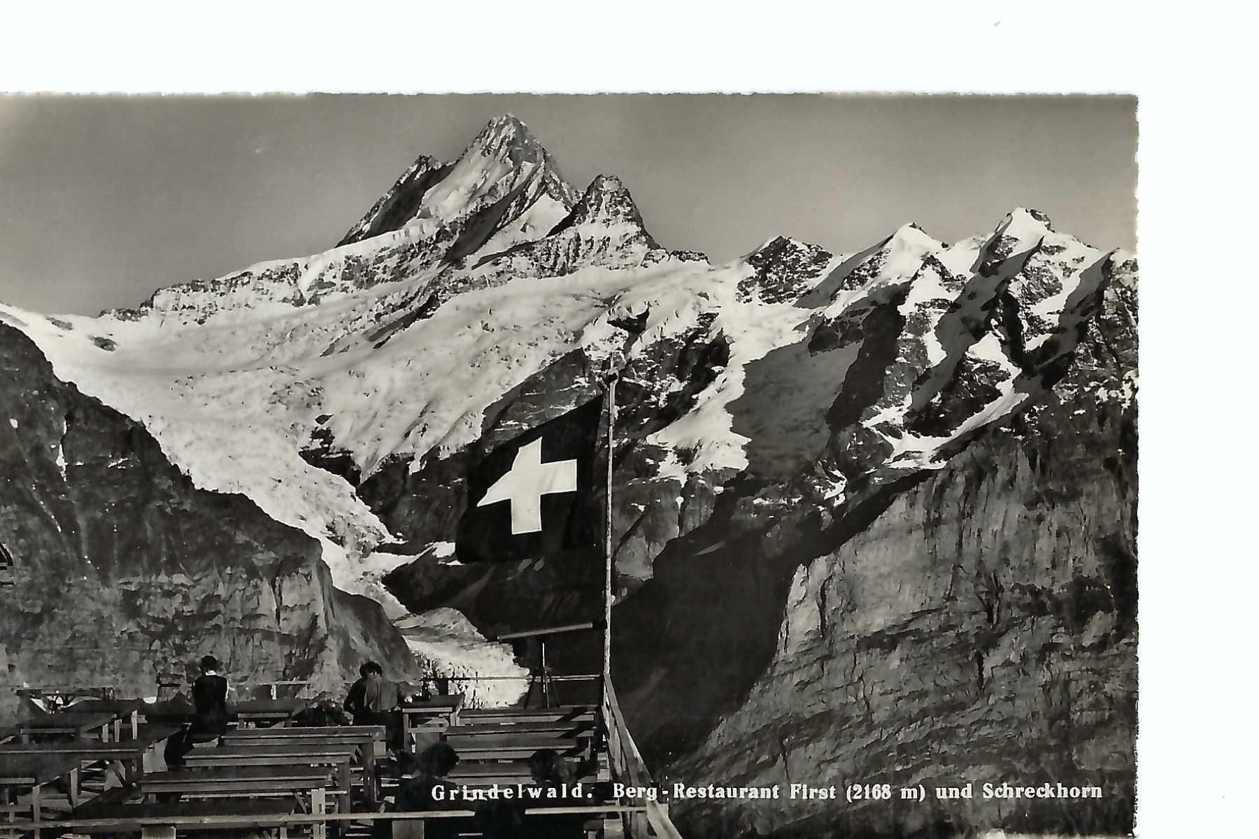 Cartoline postali: Grindelwald Berghotel First Schreckhorn Gletscher – Usato da Thun venduto da 44wart