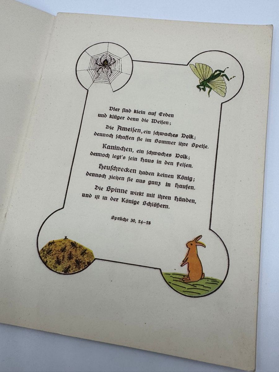 Bücher: Antikes Bilderbuch "Klein und weise" für Kinder – Gebraucht aus Herisau von Seyashop1 3