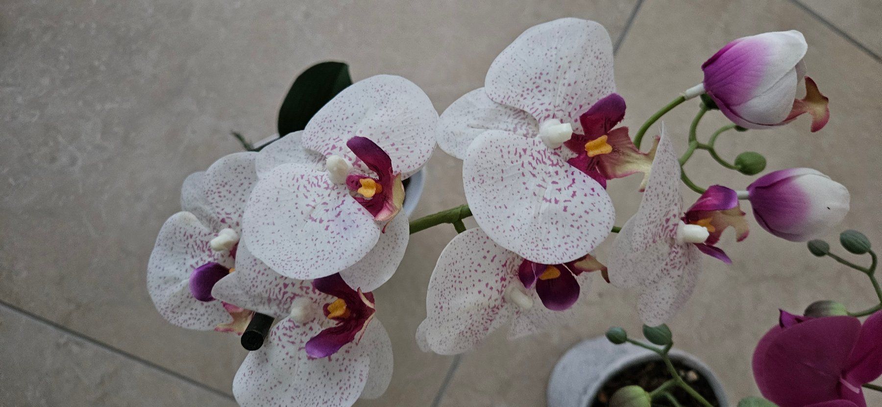 Piante & sementi: 2 Stck künstliche Orchideen – Nuovo (secondo la descrizione) da Birrwil venduto da Mischabel1 4