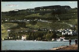 Le Mont-Pelerin, Panorama vom Ufer aus m