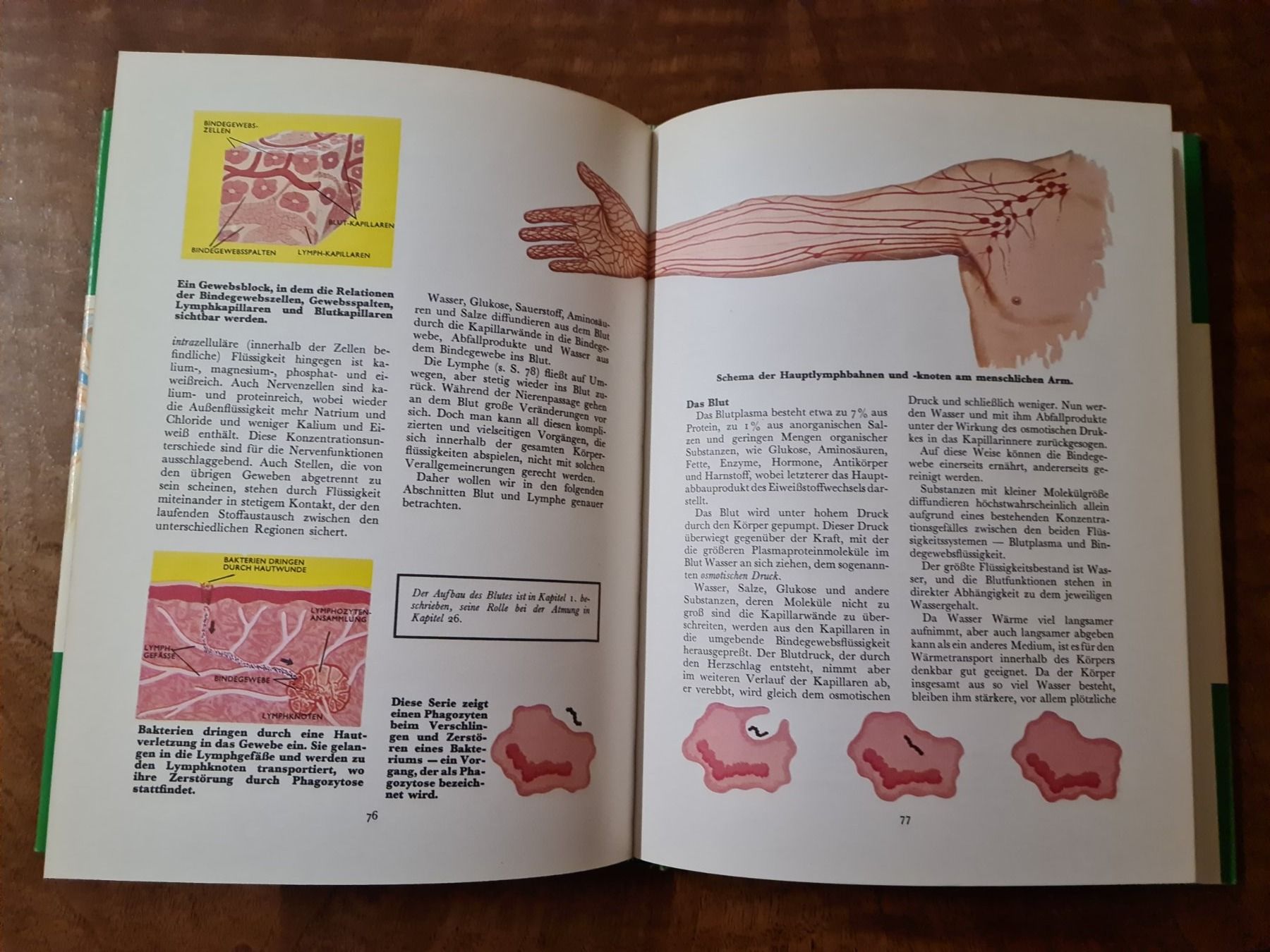 Libri: Der menschliche Körper – Usato da Erstfeld venduto da Mario_boe0 2