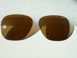 ERSATZGLÄSER Randolph Aviator 55mm braun (RANDOLPH Druck w)