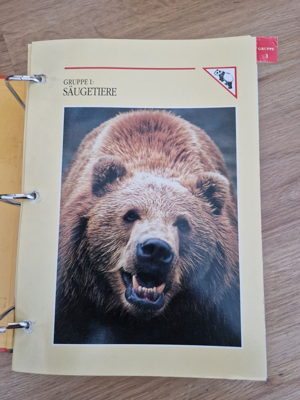 Libri: Faszination Tier & Natur – Usato da Lotzwil venduto da DonGavallo 4