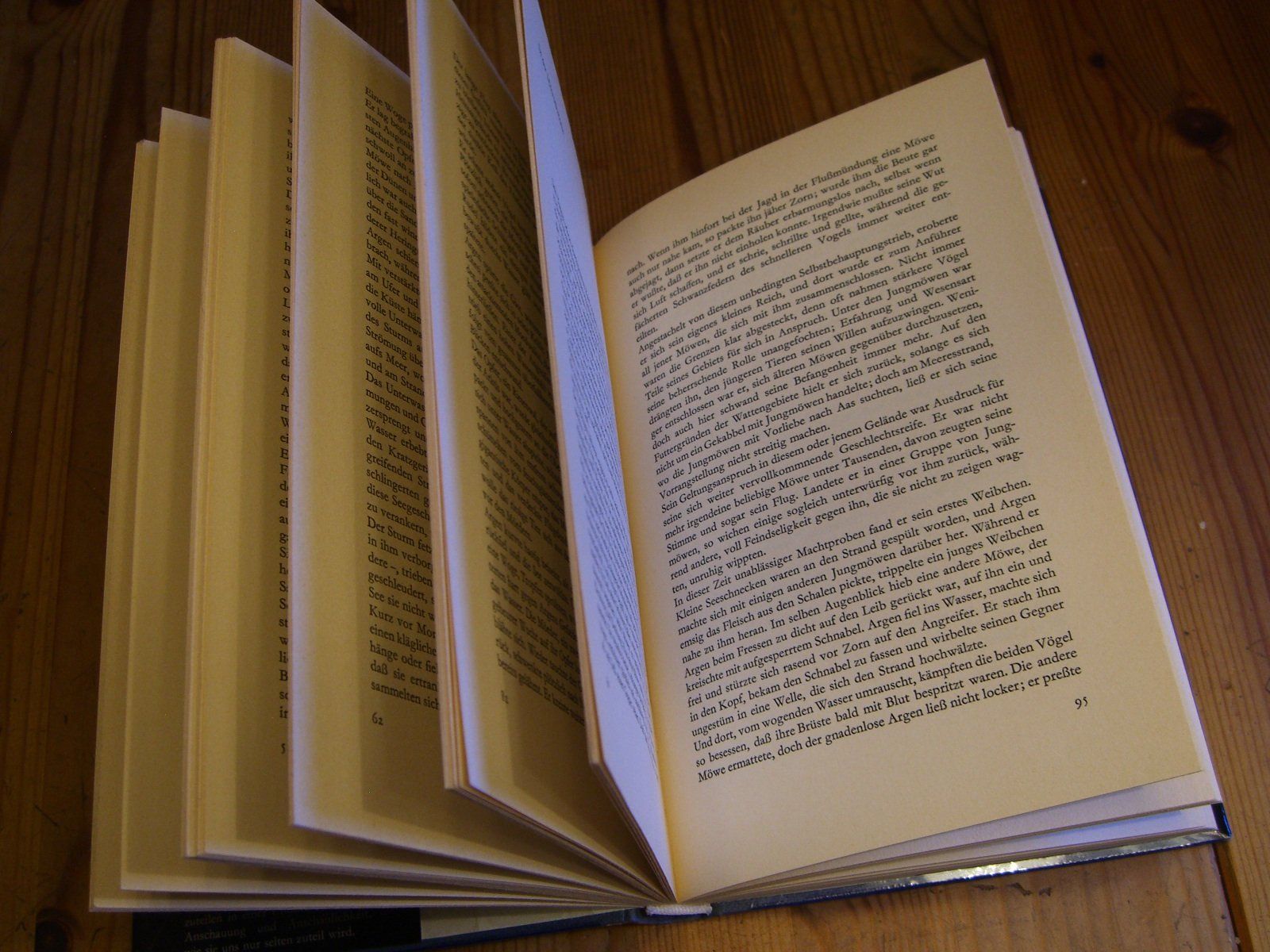 Bücher: Argen die Möwe, von H. u. G. Panske – Gebraucht aus Winterthur von Ghandi5 1