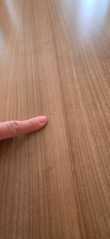 Tische: Esstisch mit 5 Stühlen  gut erhalten  CHF 100. – Gebraucht aus Sulz / LU von pecilein1 3