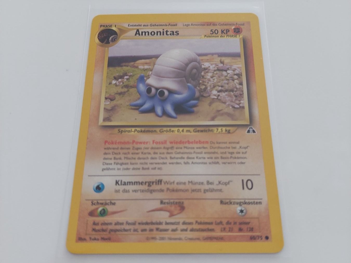 Karten: Amonitas – Neu (gemäss Beschreibung) aus Köniz von Pokecollect