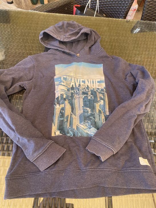 Maglioni & Felpe: Junge Hoodie Pullover Authentic Campus 164/170 – Usato da Bergdietikon venduto da antovale