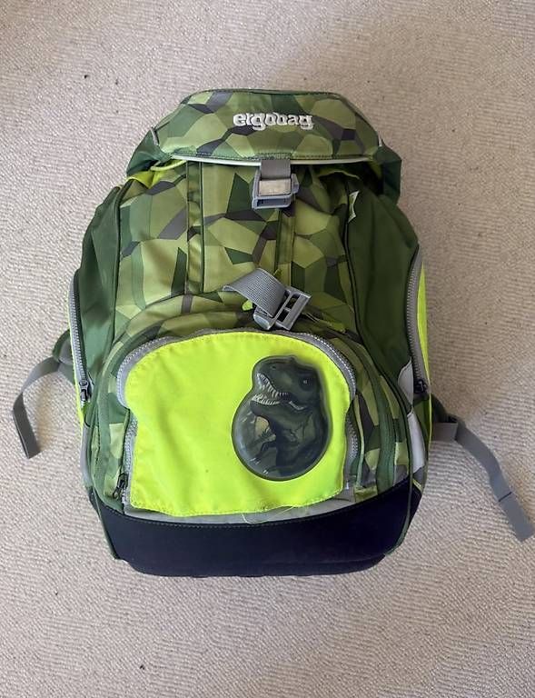Kindertaschen: Schulrucksack _Ergobag – Gebraucht aus Dornach von Desi001