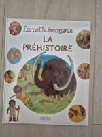 Livre pour enfant : La préhistoire 