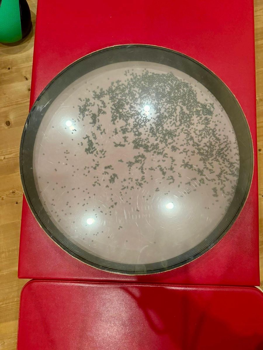 Strumenti musicali: Remo Ocean Drum - – Usato da Einsiedeln venduto da sterngucker03 1