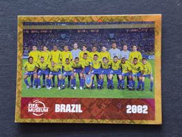 Panini - Brazil 2002 - FWC 16